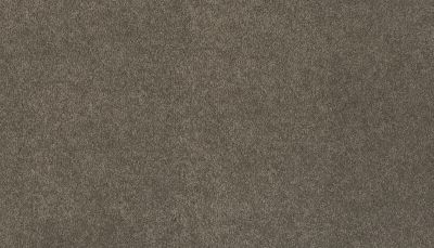 Mohawk Ultrastrand Coastal Vision III Dolphin 3D45-964