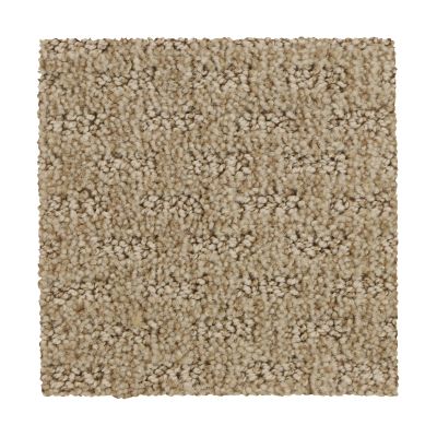 Mohawk Everstrand Attractive Trend Chiffon 3D65-768