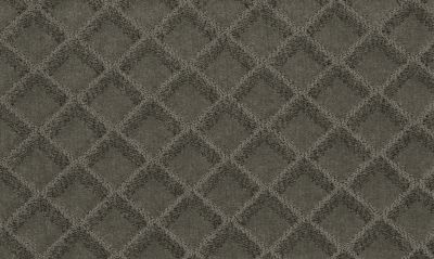 Mohawk Everstrand Soft Appeal Graceful View Sea Lion 3D66-984
