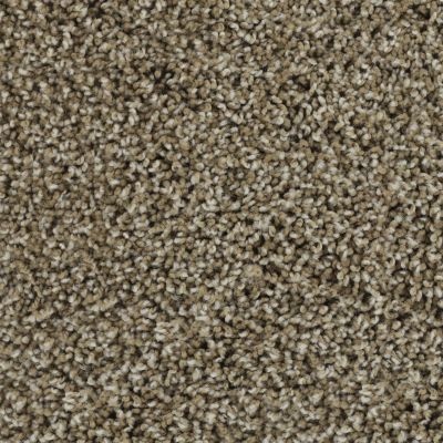 Karastan Smartstrand Stylish Estate Cayman Island 3D74-9848