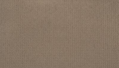 Mohawk Smartstrand Dazzling Options River Rock 3F02-735