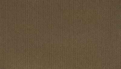 Mohawk Smartstrand Dazzling Options Dock 3F02-847