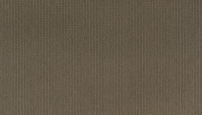 Mohawk Smartstrand Dazzling Options Powerful 3F02-858