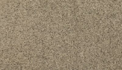 Mohawk Everstrand Soft Appeal Soft Details I Cultured Pearl 3G12-809