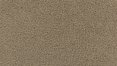 Mohawk Smartstrand Thoughtful Charm Peanut Shell 3H01-776