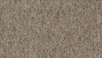 Mohawk Everstrand Cheerful Choice Outback 3H15-759