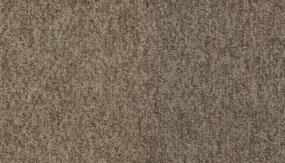 Mohawk Everstrand Cheerful Choice Kodiak 3H15-816