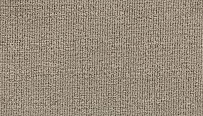 Mohawk Everstrand Attractive Charm Autumn Ash 3H27-749