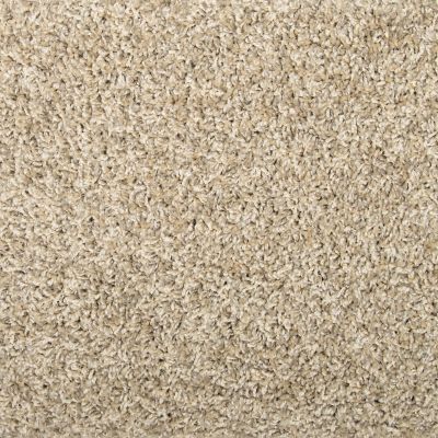Mohawk Everstrand Sophisticated Tones Greige 3H37-755