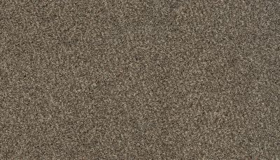 Karastan Smartstrand Radiant Elements Woodland 3H78-9825
