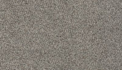 Karastan Smartstrand Radiant Elements Pristine 3H78-9911