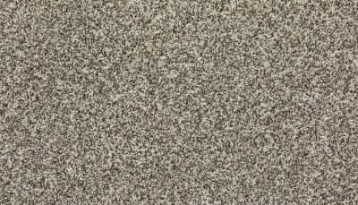 Mohawk Everstrand Roll With It Harmony 3I15-720
