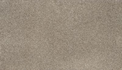 Karastan Smartstrand Authentic Glamour Garden Wall 3I48-9775