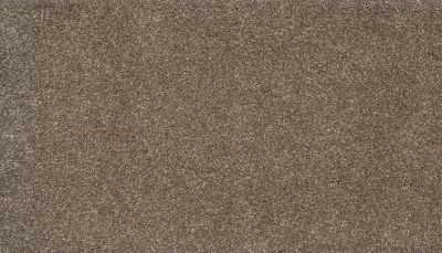 Karastan Smartstrand Authentic Glamour English Toffee 3I48-9857