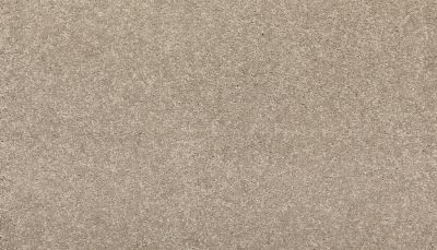 Mohawk Everstrand Modern Story II Perfect Neutral 3I53-827