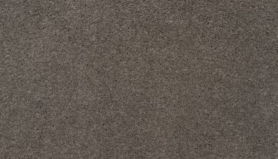 Karastan Smartstrand Silk Treasured Simplicity Portobello 3I74-9824