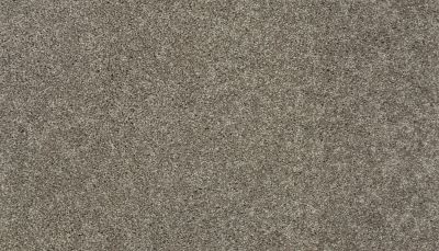 Mohawk Smartstrand Tonal Allure II Heirloom 3I83-837