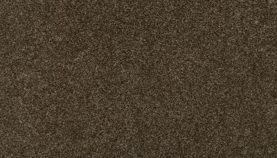 Mohawk Smartstrand Magnificent Style II Portobello 3I89-877