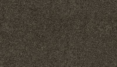 Mohawk Smartstrand Magnificent Style II Spellbound 3I89-978