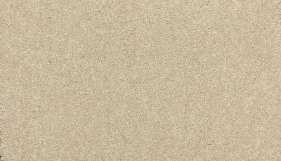 Mohawk Everstrand Refined Delight I Stone Lion 3J19-725