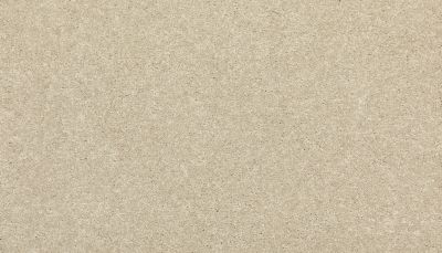 Mohawk Everstrand Refined Delight I Harmony 3J19-742