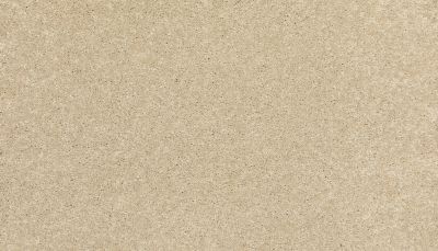 Mohawk Everstrand Refined Delight I Seashells 3J19-766