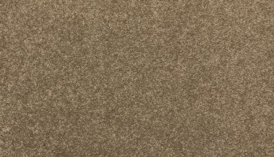 Mohawk Everstrand Refined Delight I Pebble 3J19-788