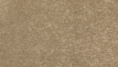 Mohawk Everstrand Refined Delight I Turnstone 3J19-849