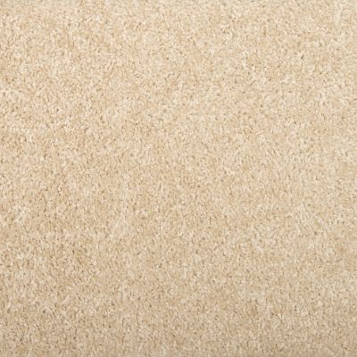 Mohawk Everstrand Windstone Solid Canvas 3J44-728