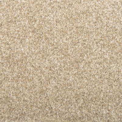 Mohawk Everstrand Baymont Tweed Forged Iron 3J45-755
