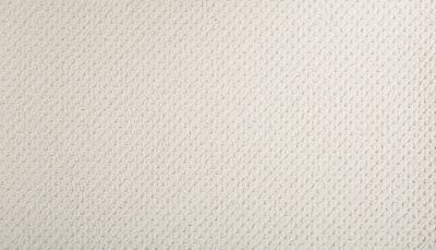 Mohawk Smartstrand Braided Beauty White Dove 3J53-701