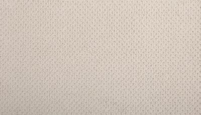 Mohawk Smartstrand Braided Beauty Haven 3J53-738