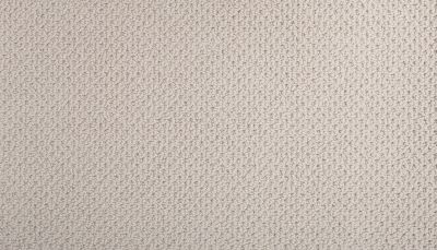 Mohawk Smartstrand Braided Beauty Bare Necessities 3J53-759