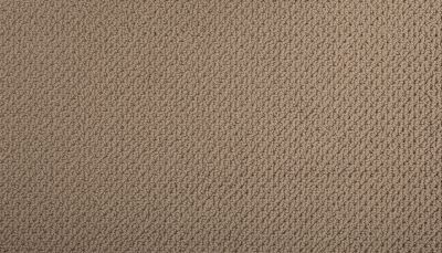 Mohawk Smartstrand Braided Beauty Cuban Sand 3J53-760