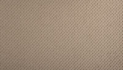 Mohawk Smartstrand Braided Beauty Renoir Bisque 3J53-765