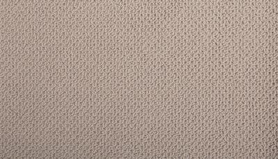 Mohawk Smartstrand Braided Beauty Mountain Ledge 3J53-770