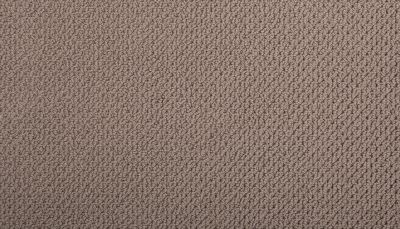 Mohawk Smartstrand Braided Beauty Bali 3J53-824