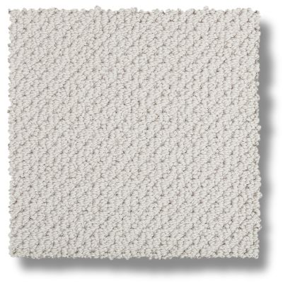 Mohawk Smartstrand Braided Beauty Silver Fox 3J53-901