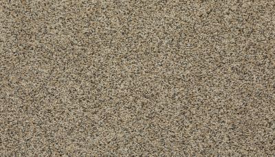 Mohawk Everstrand Reboot Sesame 3J62-747