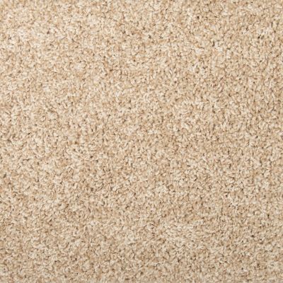 Mohawk Everstrand Spring Lakes Warm Almond 3J71-725