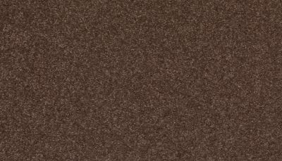 Mohawk Smartstrand Quality Feeling Chocolate Chip 3J93-883