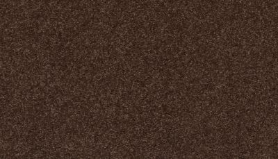 Mohawk Smartstrand Quality Feeling Dark Fudge 3J93-893