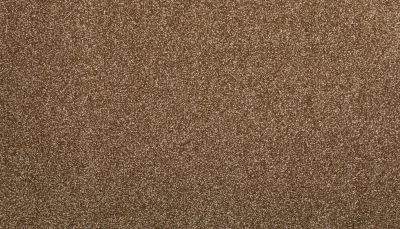 Mohawk Ultrastrand Memory Lane II Glazed Pecan 3K13-792