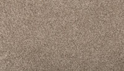 Mohawk Everstrand Basic Element I Boulevard 3K14-829