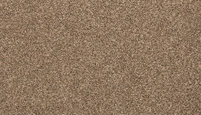 Mohawk Everstrand Basic Element II Mystic Wood 3K15-789