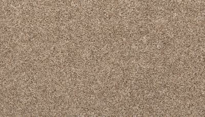 Mohawk Everstrand Basic Element II Boulevard 3K15-829