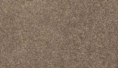 Mohawk Everstrand Basic Element II Scotch Mist 3K15-945