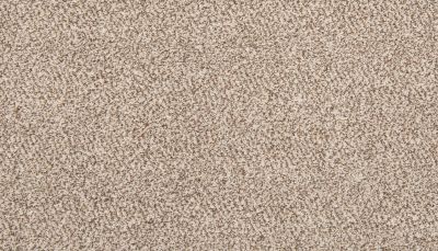 Mohawk Everstrand Tectonic Elk Beige 3K27-729