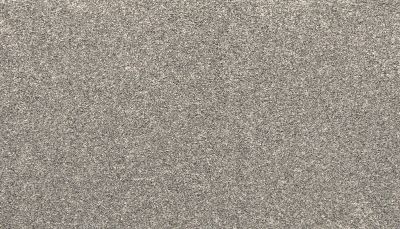 Mohawk Everstrand Bold Creation Charcoal Dust 3K28-966