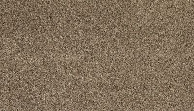 Mohawk Everstrand Soft Appeal Soft Tempo I Down Draft 3K30-796